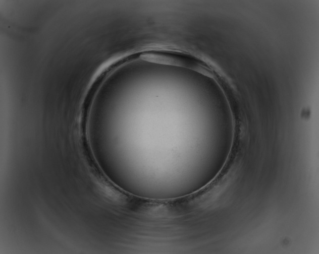 X0000101961222200807181032