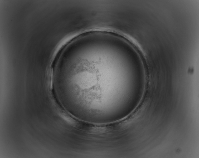 X0000101961223200807181032