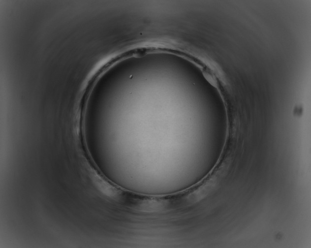 X0000101961224200807181032