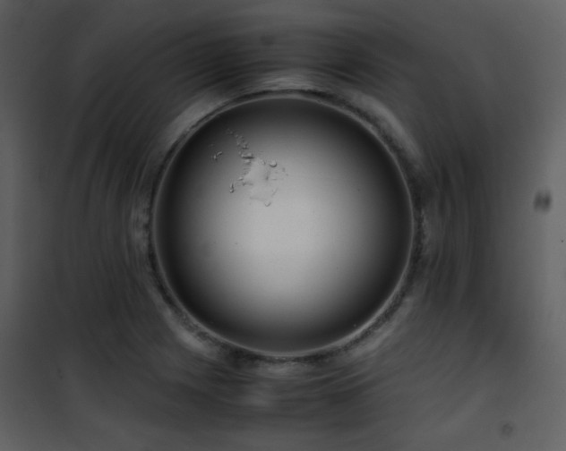 X0000101961225200807181032