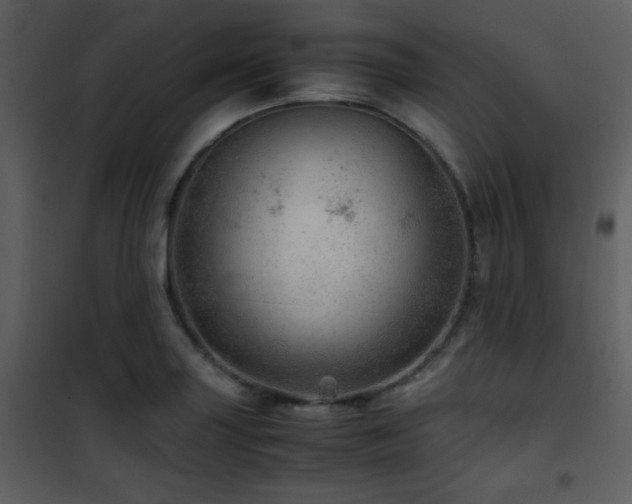 X0000101961227200807181033