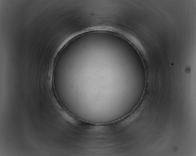 X0000101961228200807181033