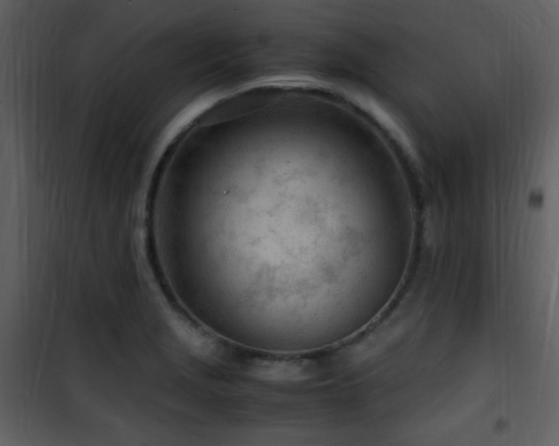 X0000101961229200807181033