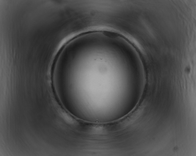 X0000101961230200807181033