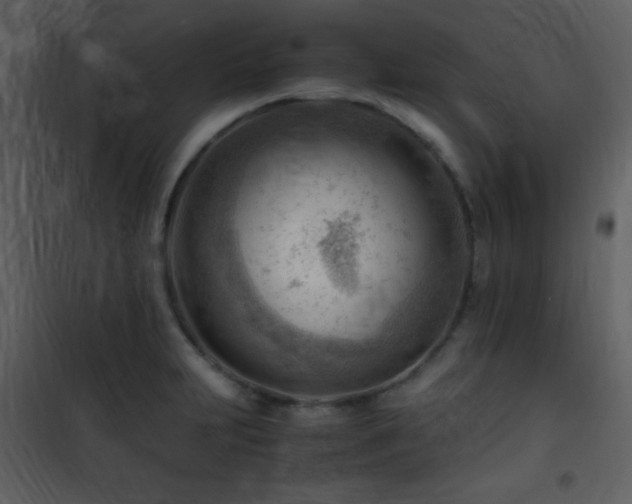 X0000101961231200807181033