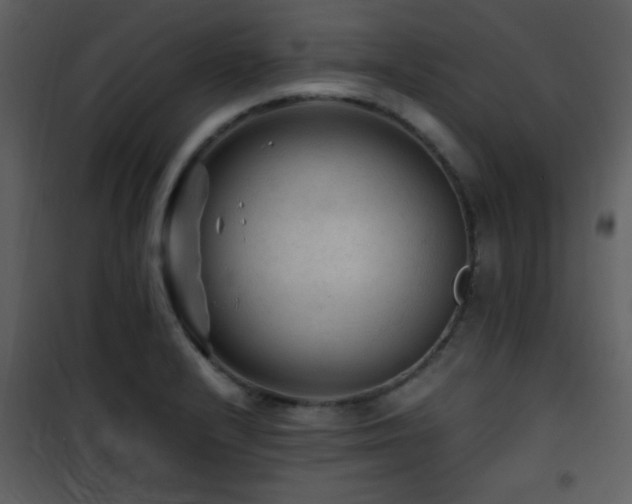 X0000101961232200807181033