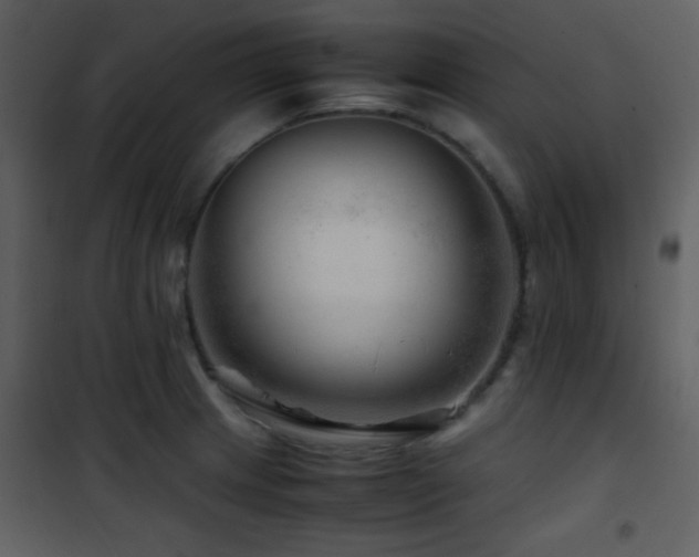 X0000101961233200807181033