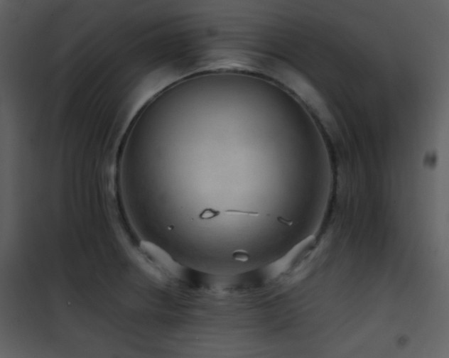 X0000101961234200807181033
