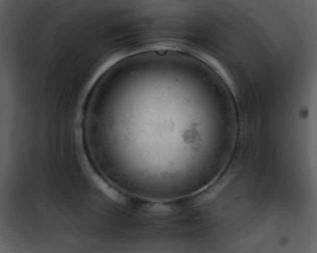 X0000101961235200807181033