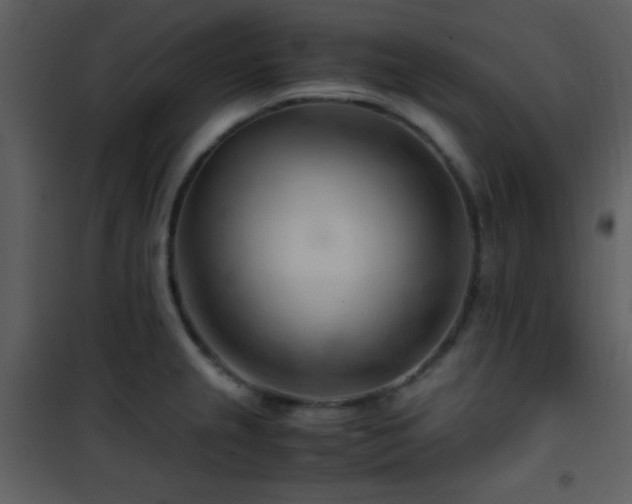 X0000101961237200807181033