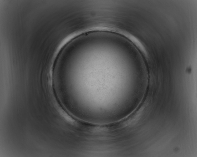 X0000101961238200807181033