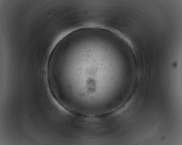 X0000101961239200807181033
