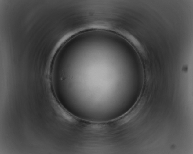 X0000101961240200807181033