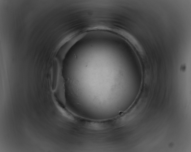 X0000101961241200807181033