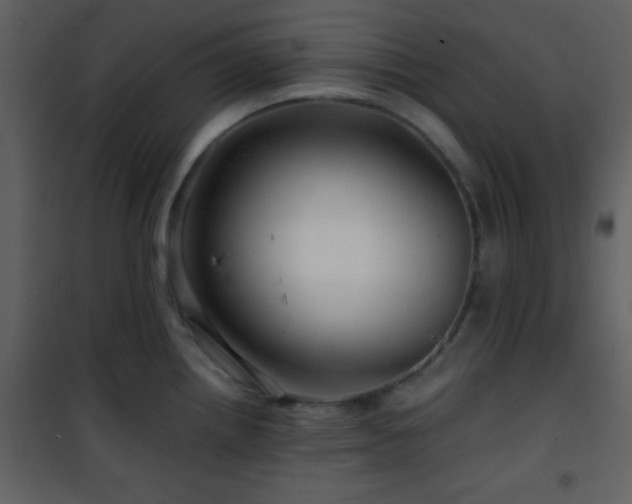 X0000101961242200807181033
