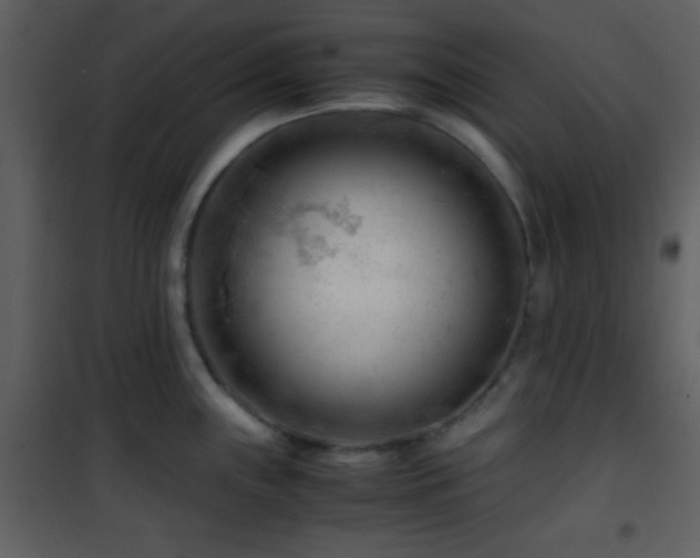 X0000101961243200807181033