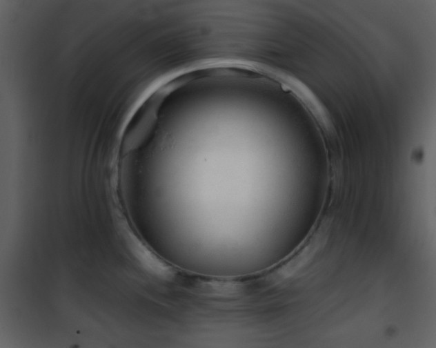 X0000101961244200807181033