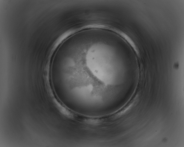 X0000101961245200807181033
