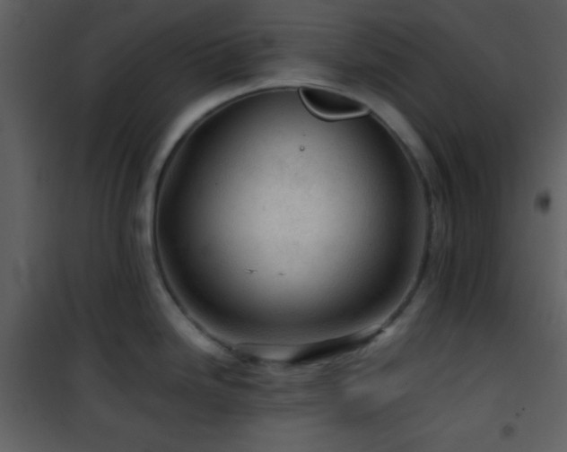 X0000101961246200807181033