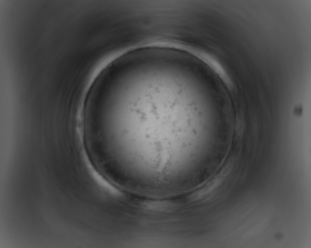 X0000101961247200807181033
