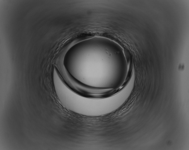 X0000101961249200807181032