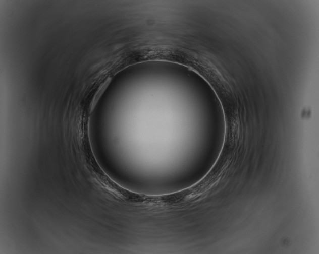 X0000101961250200807181032