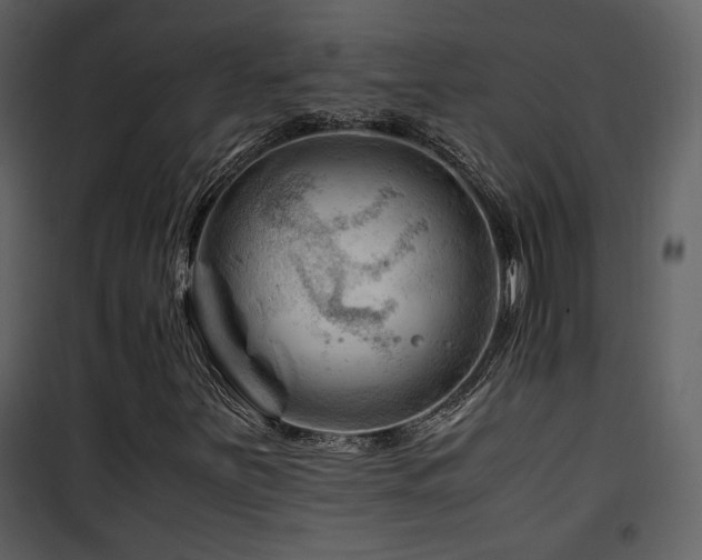 X0000101961251200807181032