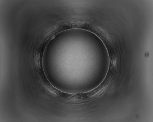 X0000101961252200807181032