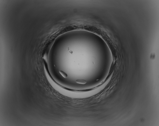 X0000101961253200807181032