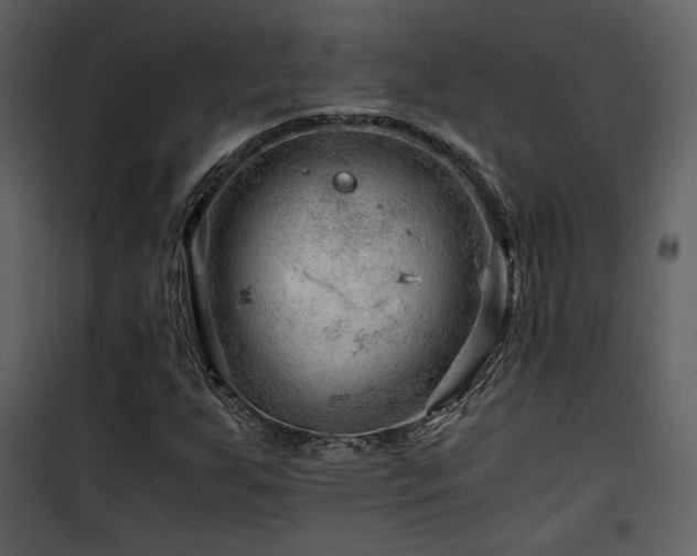 X0000101961255200807181032