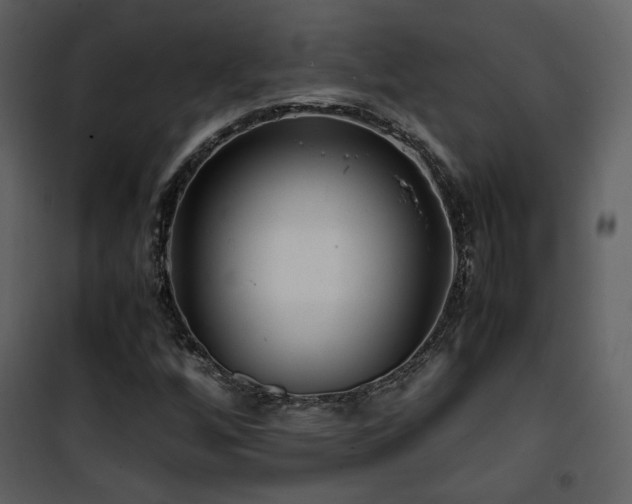 X0000101961256200807181032