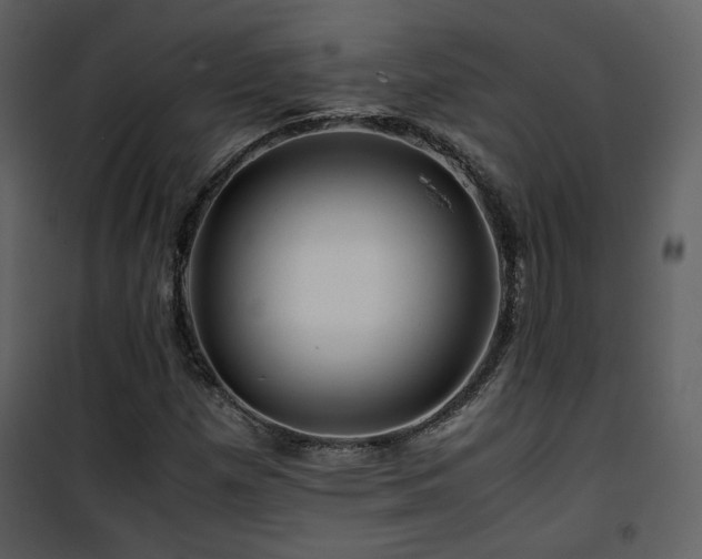 X0000101961257200807181032