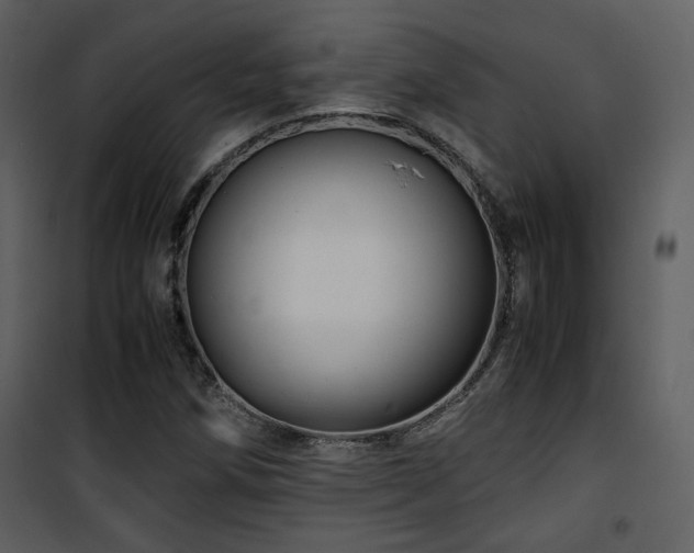 X0000101961258200807181032