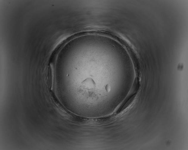 X0000101961259200807181032