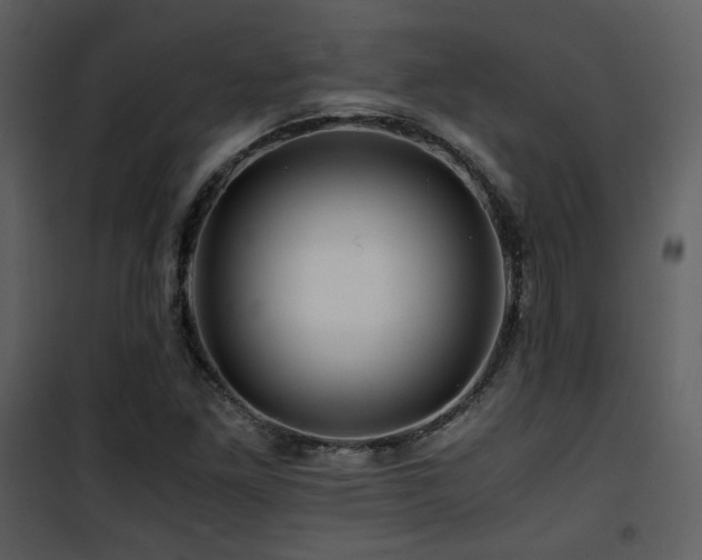 X0000101961261200807181032