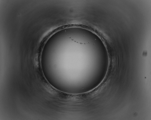 X0000101961262200807181032