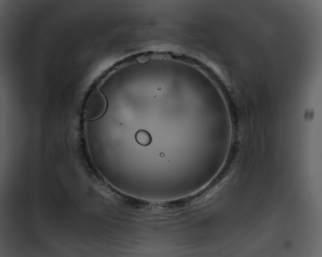 X0000101961263200807181032