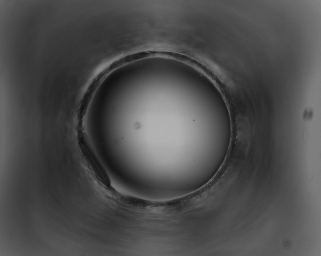 X0000101961264200807181032
