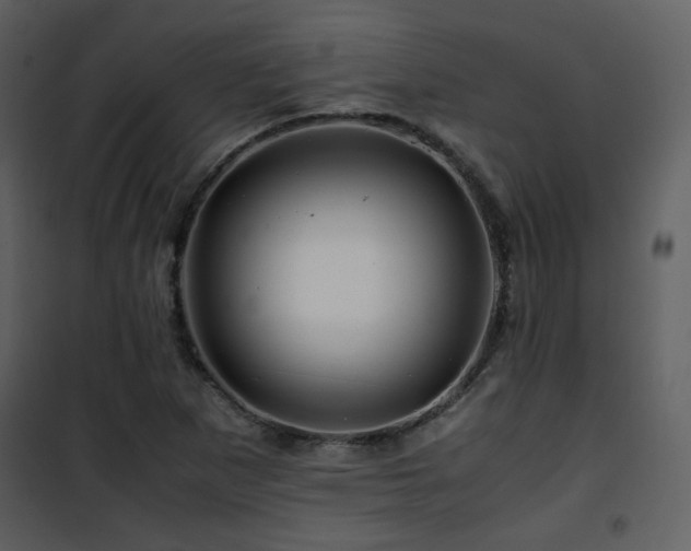 X0000101961265200807181032