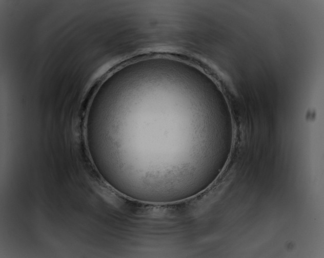 X0000101961266200807181032