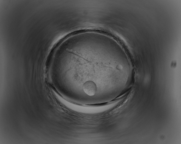 X0000101961267200807181032