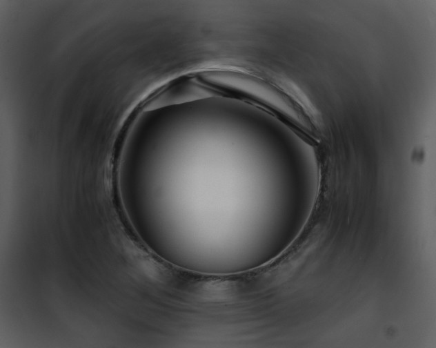 X0000101961268200807181032