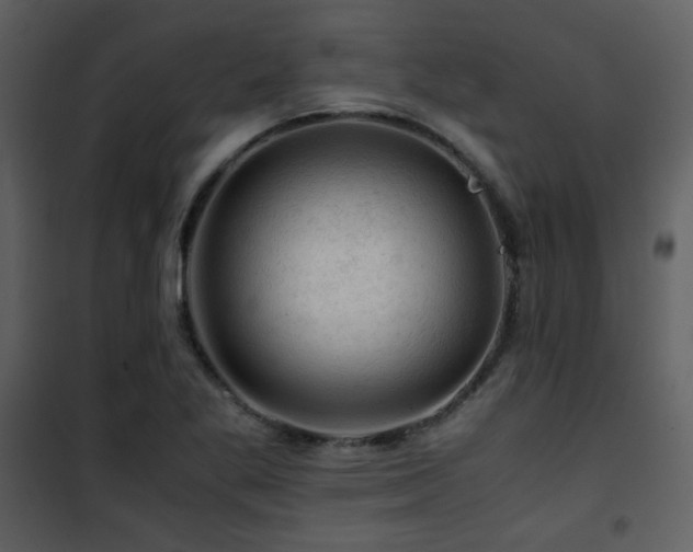 X0000101961269200807181032
