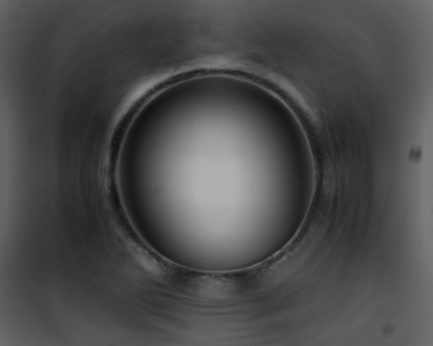 X0000101961270200807181032
