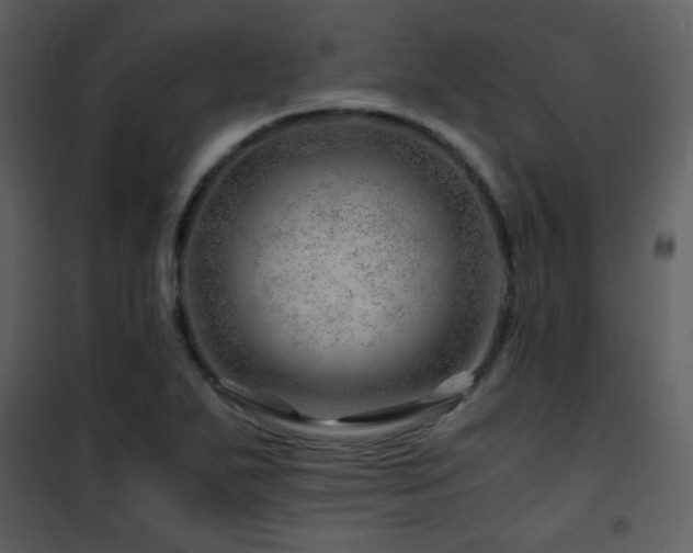 X0000101961271200807181032