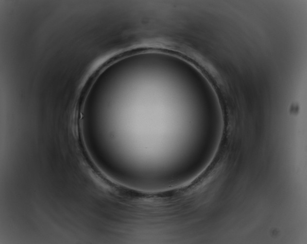 X0000101961272200807181032