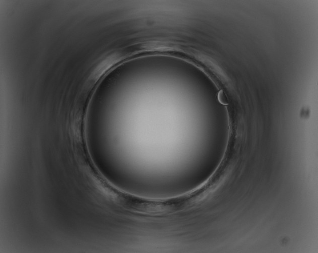 X0000101961273200807181032