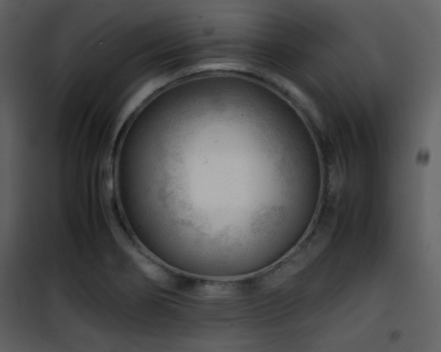 X0000101961274200807181032