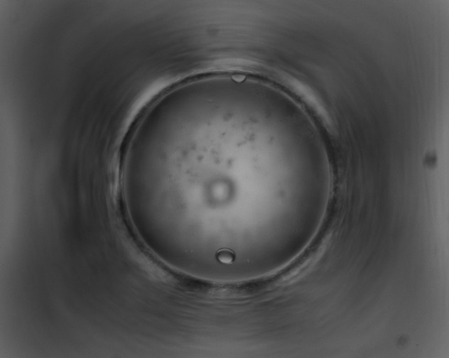 X0000101961275200807181032