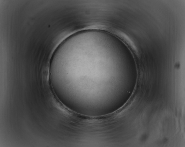 X0000101961276200807181032